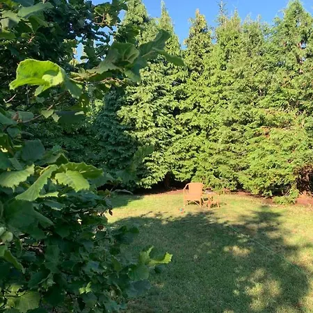 Planinska Kuca Sa Dvoristem Ferienhaus