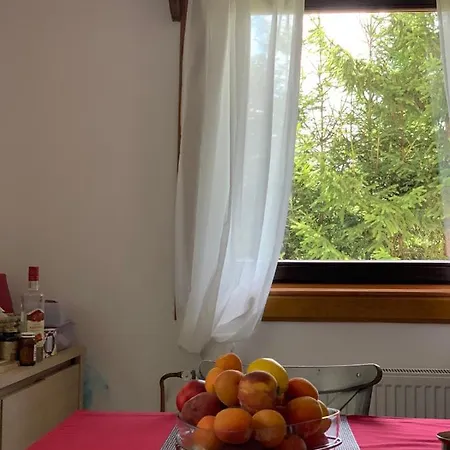 Planinska Kuca Sa Dvoristem Ferienhaus Zlatibor