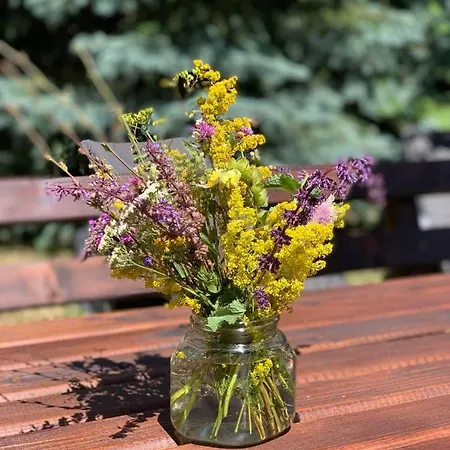 Planinska Kuca Sa Dvoristem Semesterbostad Zlatibor