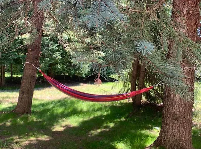 Planinska Kuca Sa Dvoristem Hébergement de vacances *