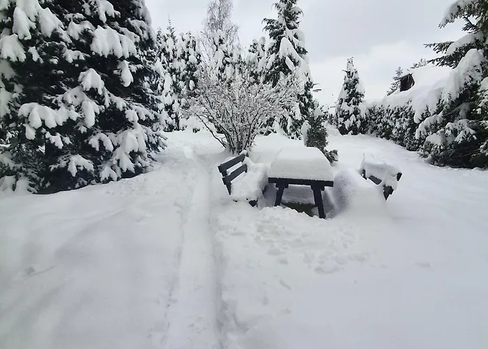 Planinska Kuca Sa Dvoristem Hébergement de vacances Zlatibor
